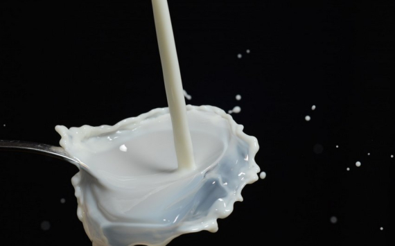 В Подмосковье производителям молока предоставили новую субсидию