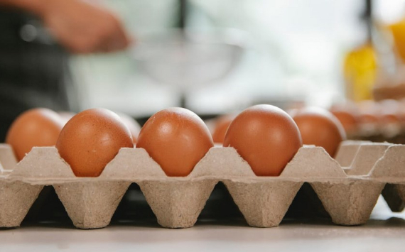 Экономист Холод надеется с помощью импорта яиц стабилизировать цены