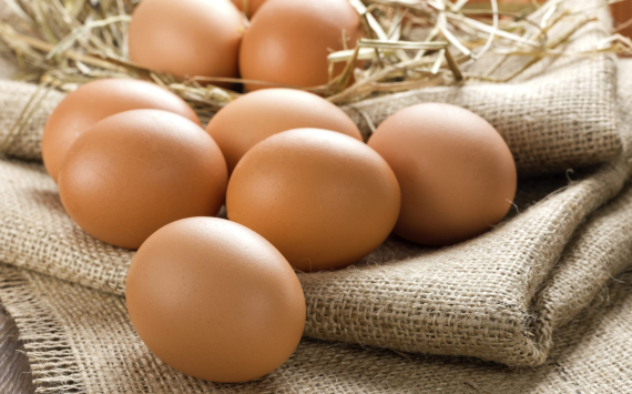 В Россию поступила вторая партия куриных яиц из Турции