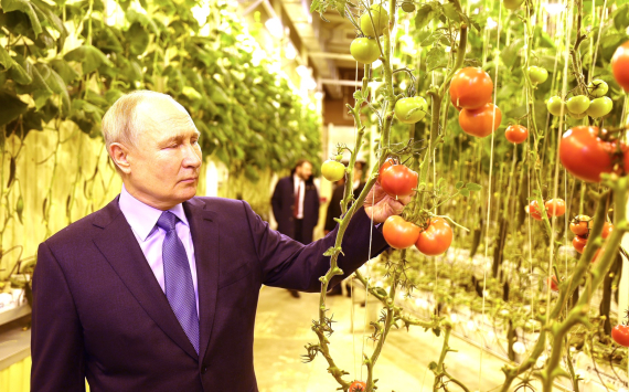Президент России Владимир Путин раскрыл важность Чукотского полуострова для всей планеты