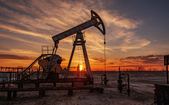 Терешкин прогнозирует увеличение цен на нефть в феврале