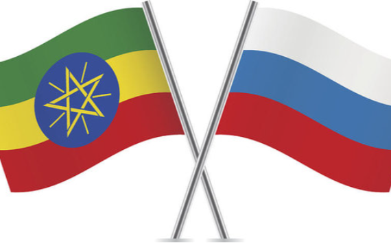 Посол Эфиопии призвал к переговорам об использовании нацвалют в торговле с РФ
