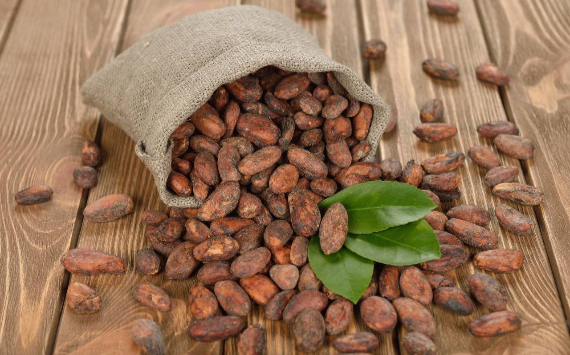 РФ начнет напрямую импортировать какао-бобы из Нигерии