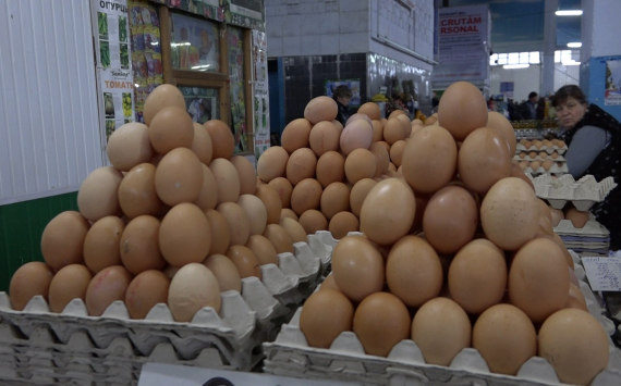 Цены на мясо и яйца на российском внутреннем рынке начали снижаться