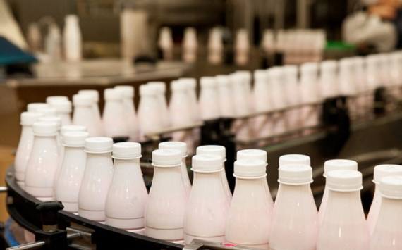 В России увеличились показатели производства молочной продукции