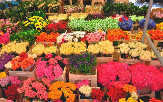 Промсвязьбанк запустил спецпроект о цветочном бизнесе в России