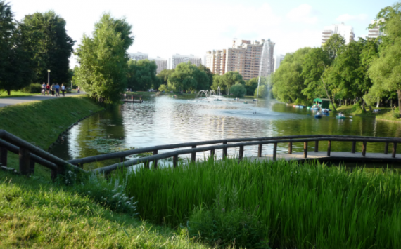 Бирюков: В Москве ко Дню города благоустроят около 80 парков