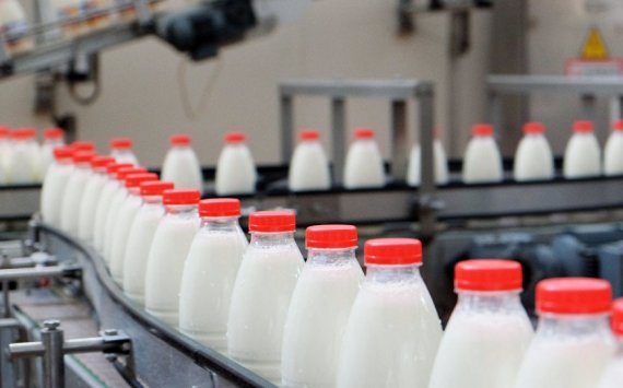 Расходы на развитие молочной отрасли Башкирии превысят 60 млрд рублей