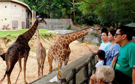 Открытый контактный зоопарк Кхао Кхео в Королевстве Таиланд приглашает на ночное сафари с экзотическими животными 