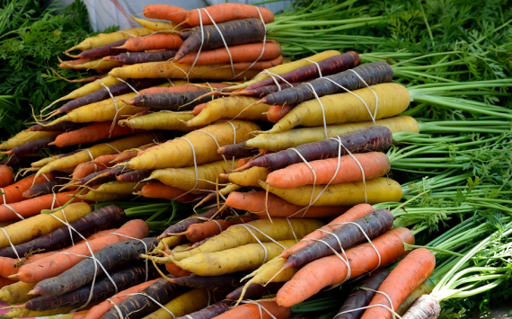 В Пензенской области продают самые дешевые морковь и масло в ПФО