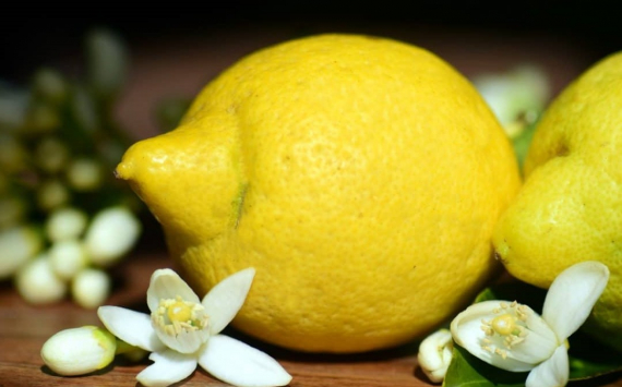 Forbes посчитал лимоны предметом роскоши для россиян