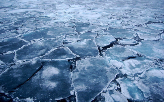«Роснефть» и ДВФУ занялись изучением прочности морского льда