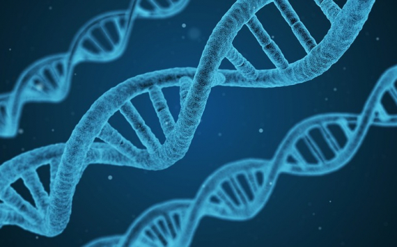 МГНЦ Минздрава заявил о лечении тяжёлых заболеваний с помощью редактирования генов