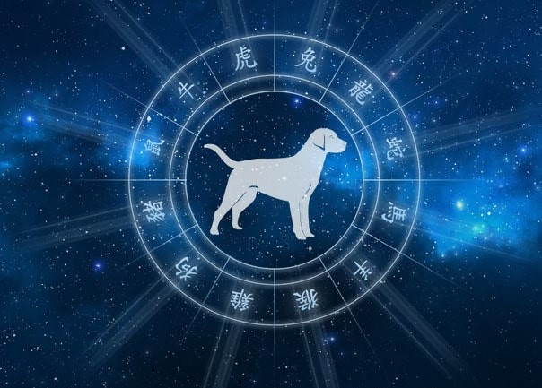 гороскоп телец год собаки