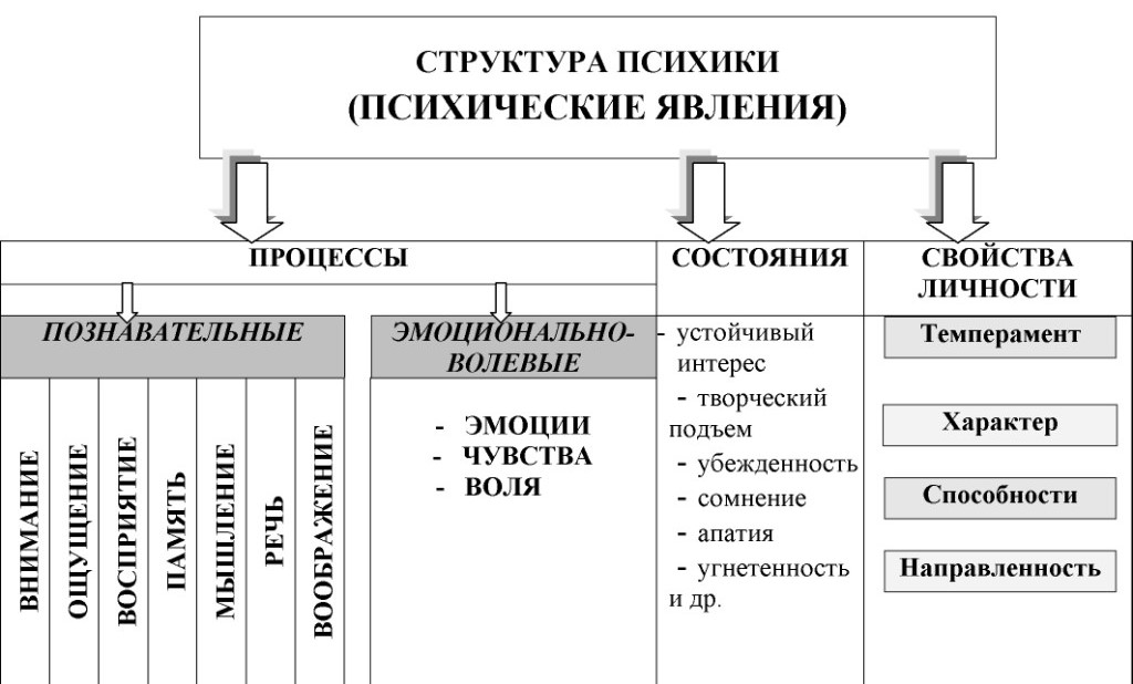 Человек в психологии схема