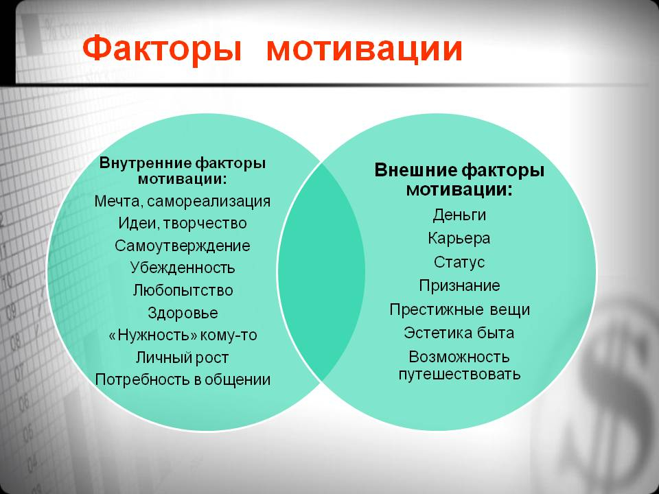 Описание фактора побуждающего к выполнению проекта это